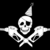 Party pirates logo big pumps 600x800